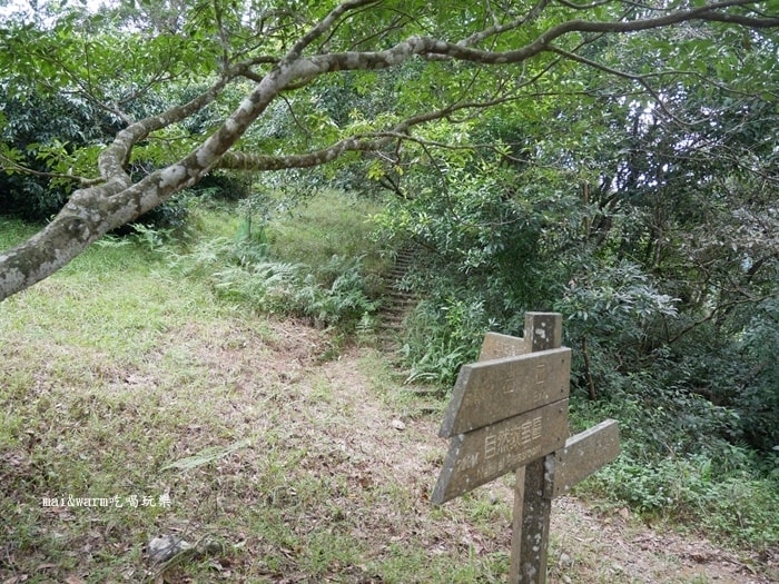 P1030217.jpg
