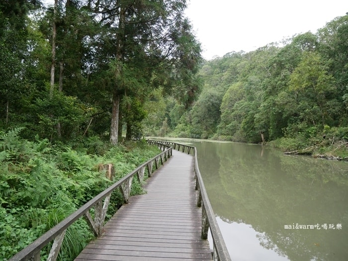 P1030237.jpg