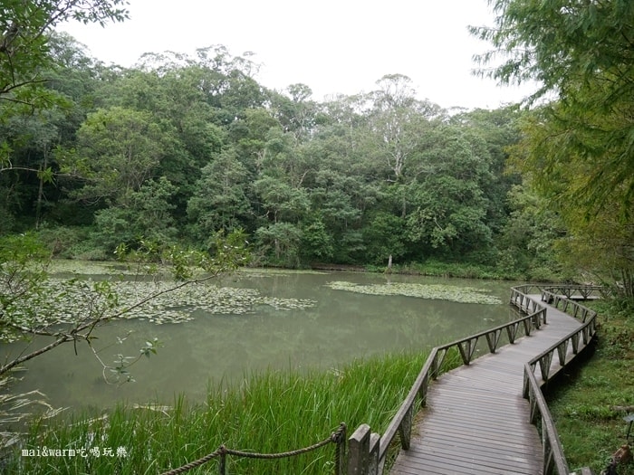 P1030254.jpg