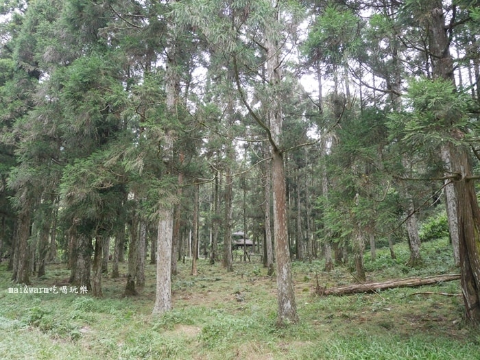 P1030255.jpg