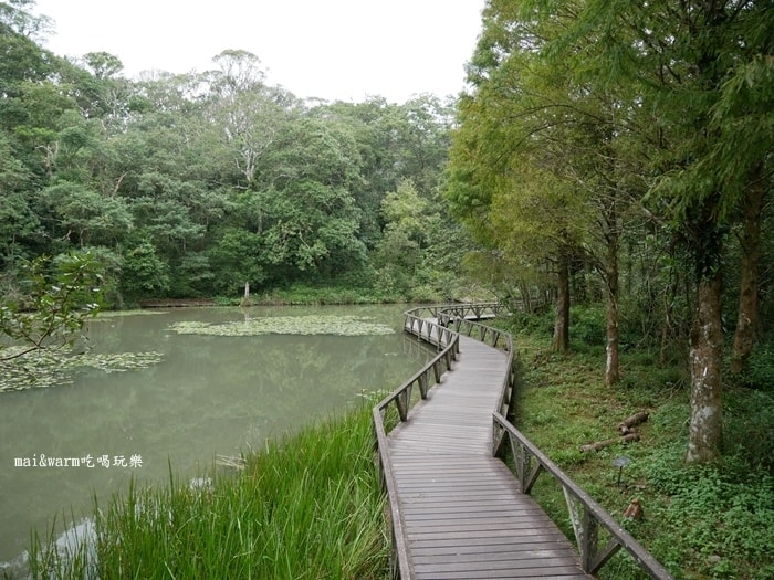 P1030257.jpg