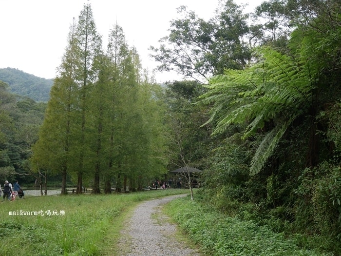 P1030284.jpg