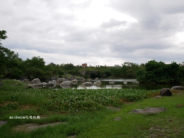 P1030624.jpg