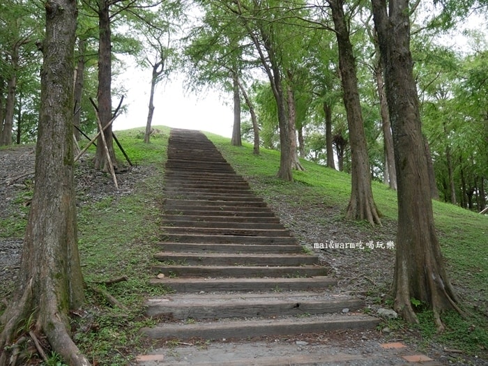 P1030638.jpg