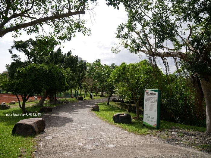 P1030659.jpg