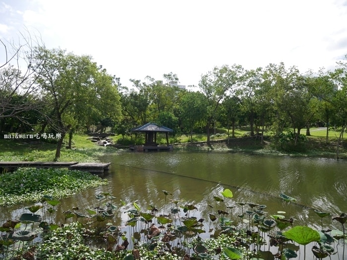 P1030668.jpg