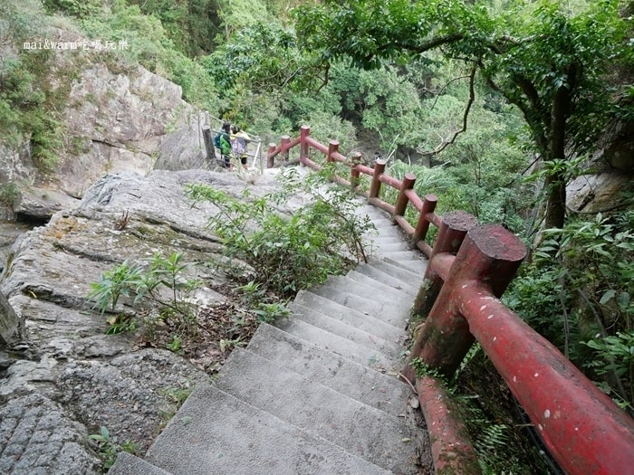 P1030956.jpg