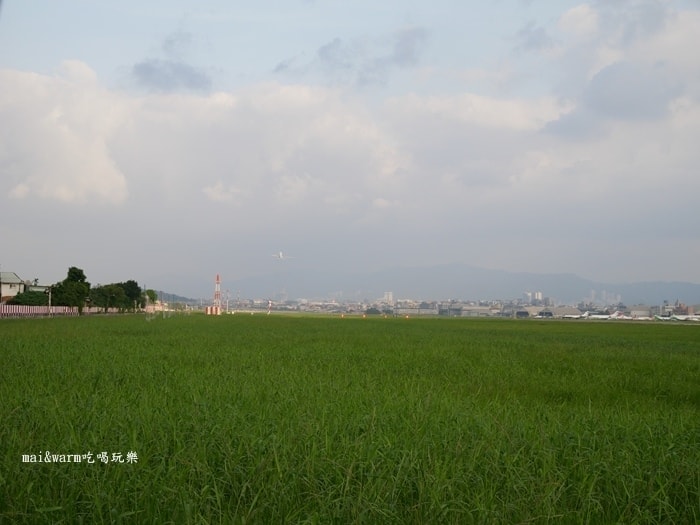 P1040225.jpg