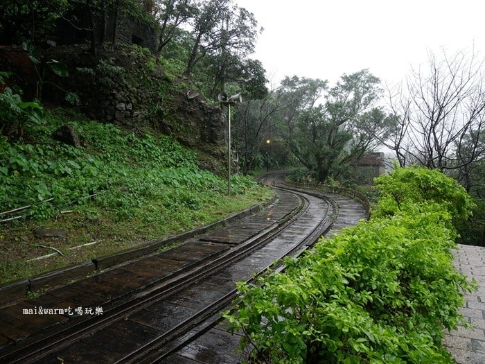 P1050091.jpg
