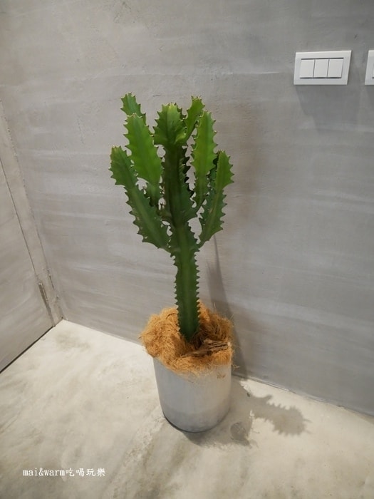 P1070610.jpg