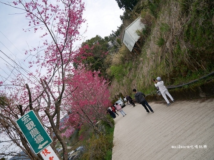P1080255.jpg