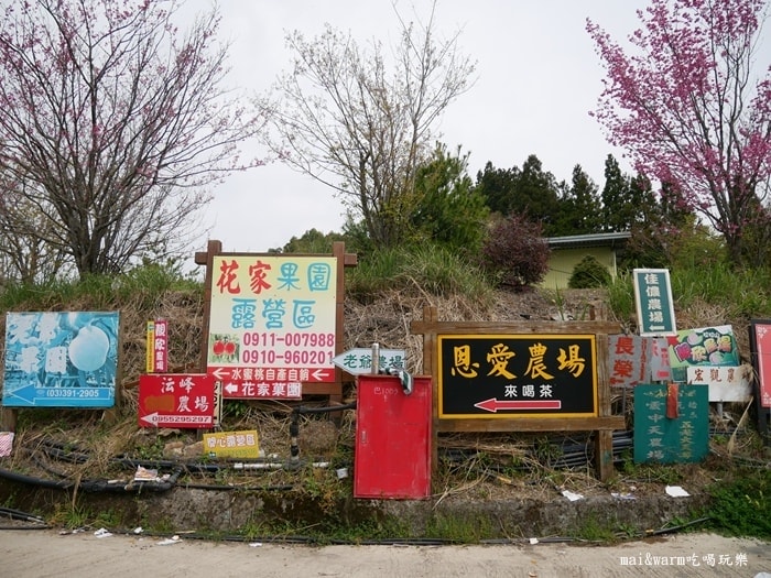 P1080253.jpg
