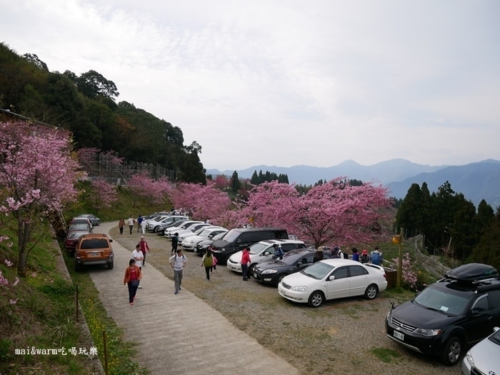 P1080275.jpg