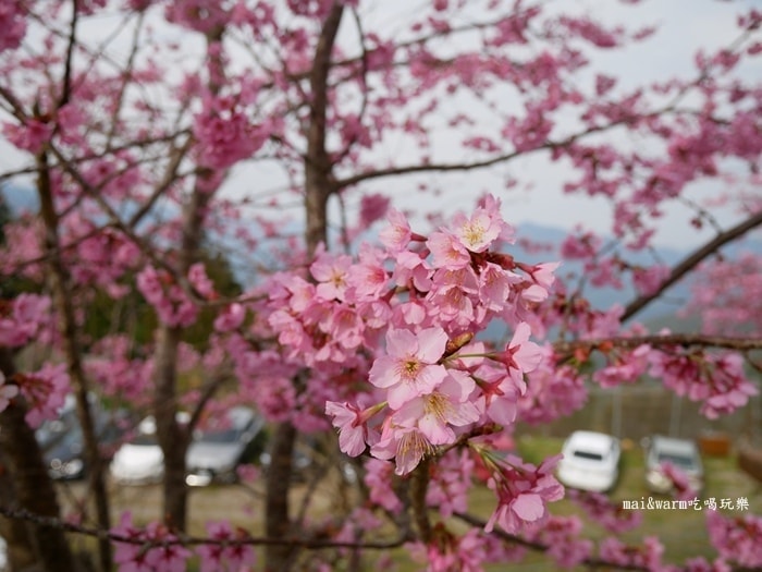 P1080273.jpg