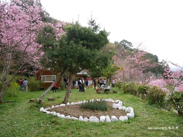 P1080278.jpg