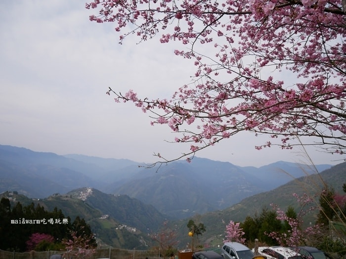 P1080280.jpg