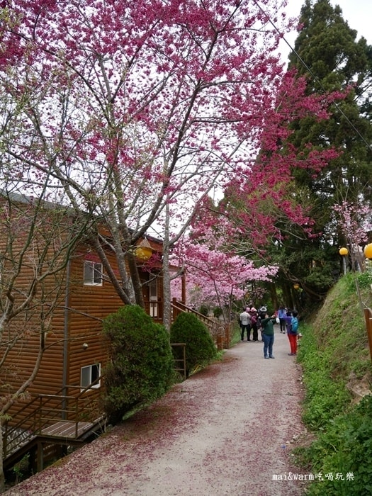 P1080288.jpg