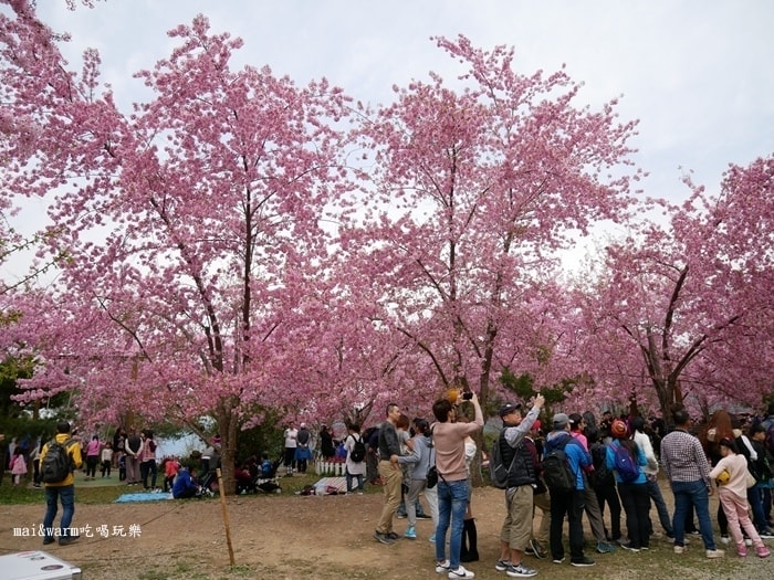 P1080294.jpg