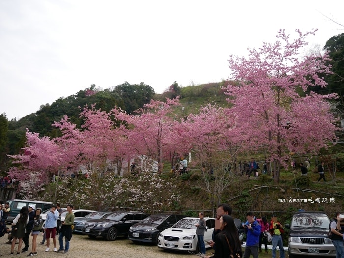 P1080296.jpg