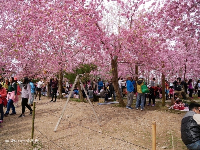 P1080307.jpg