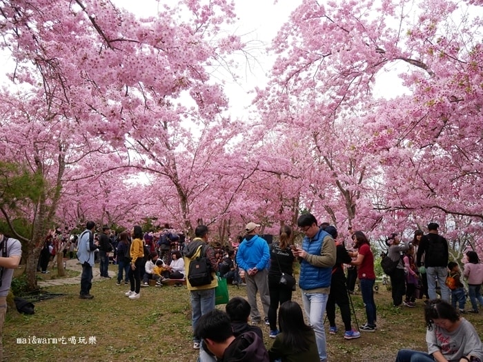 P1080311.jpg