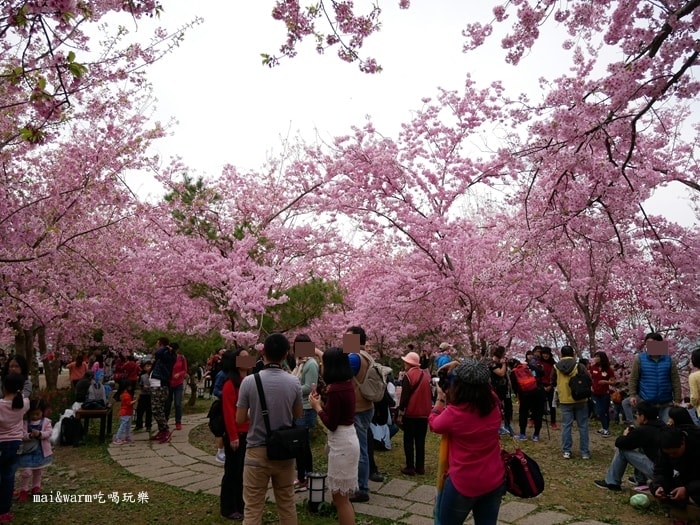 P1080317.jpg