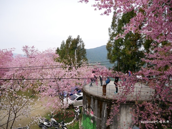 P1080346.jpg