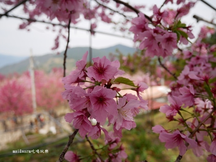 P1080377.jpg