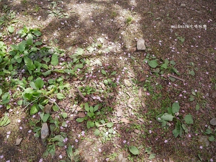 P1080384.jpg