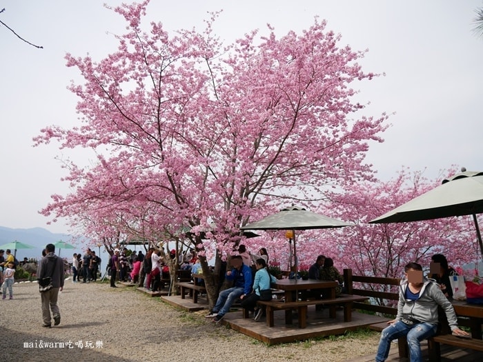 P1080423.jpg