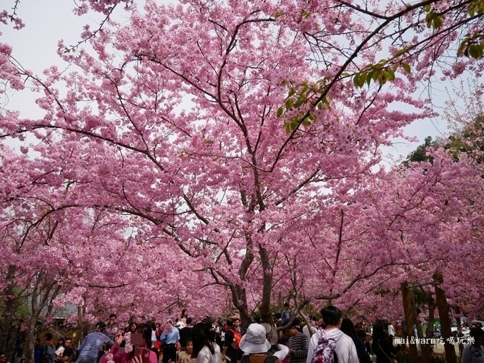 P1080418.jpg