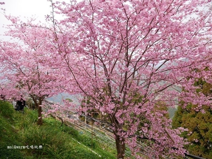 P1080424.jpg