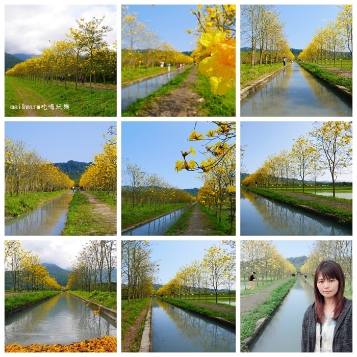 42-風鈴木1.jpg