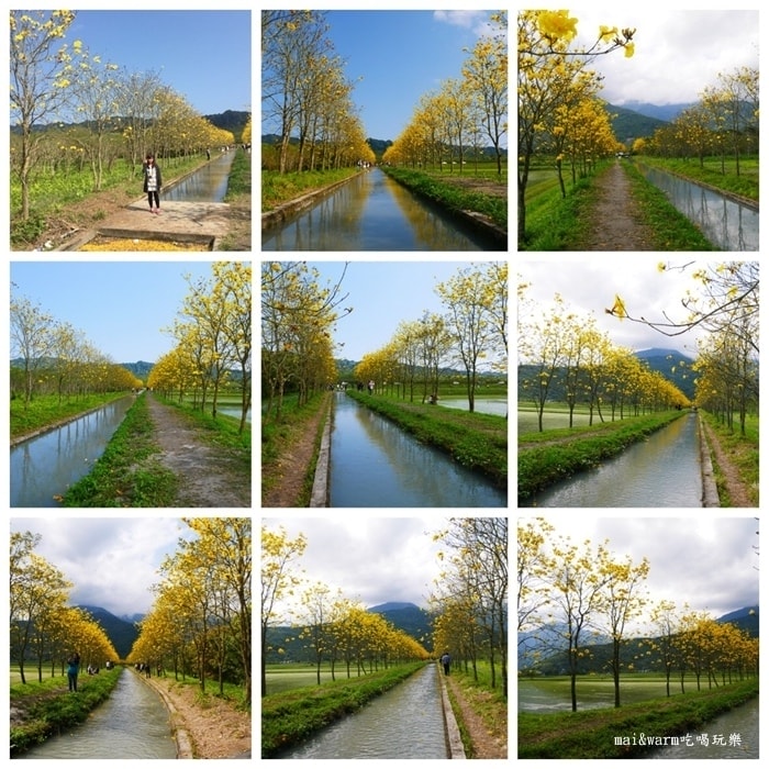 42-風鈴木2.jpg