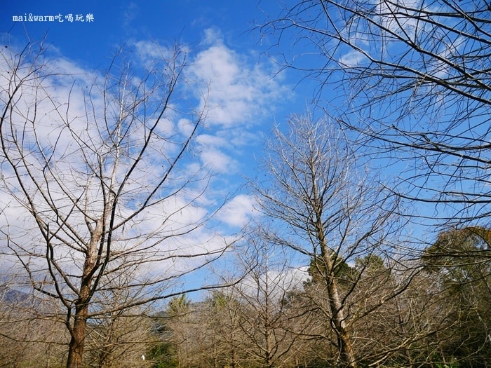 P1090033.jpg