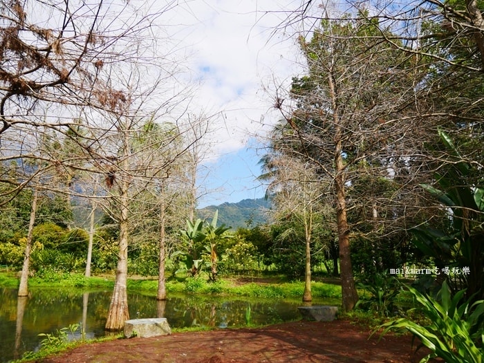 P1090051.jpg