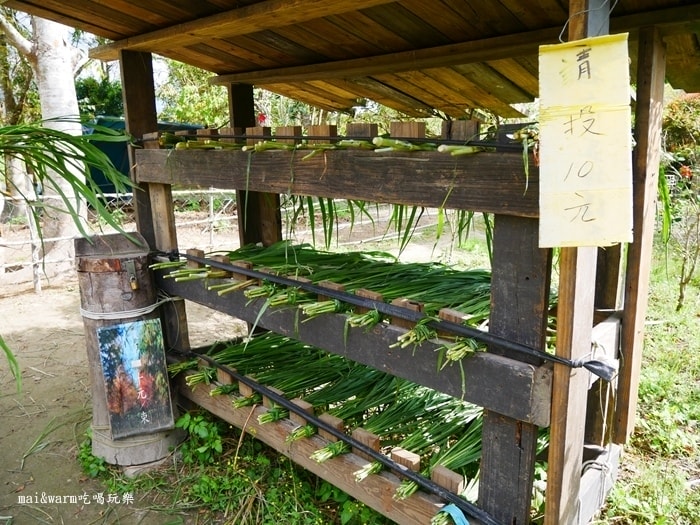 P1090058.jpg