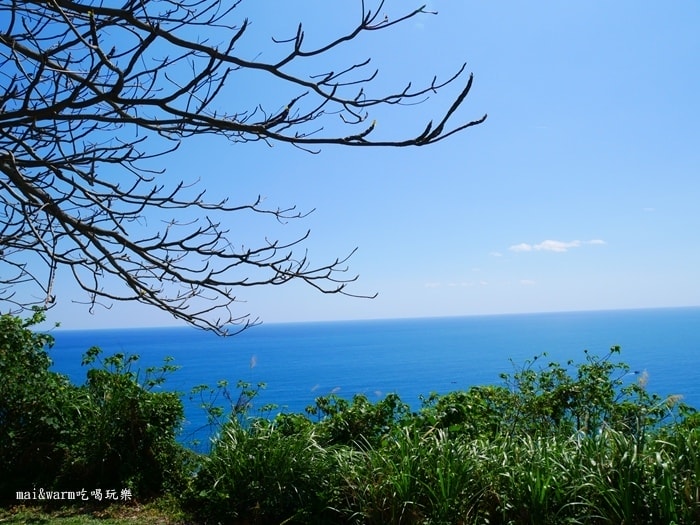 P1090135.jpg