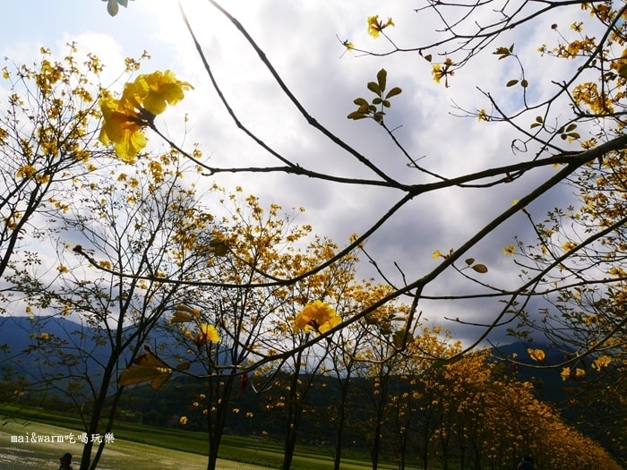 P1090754.jpg