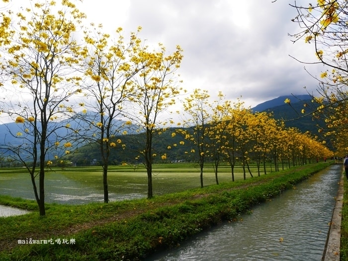 P1090757.jpg