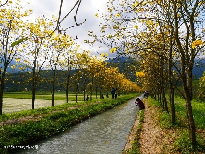 P1090755.jpg