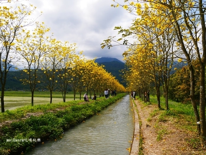 P1090753.jpg