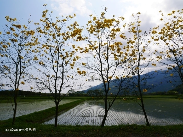 P1090768.jpg