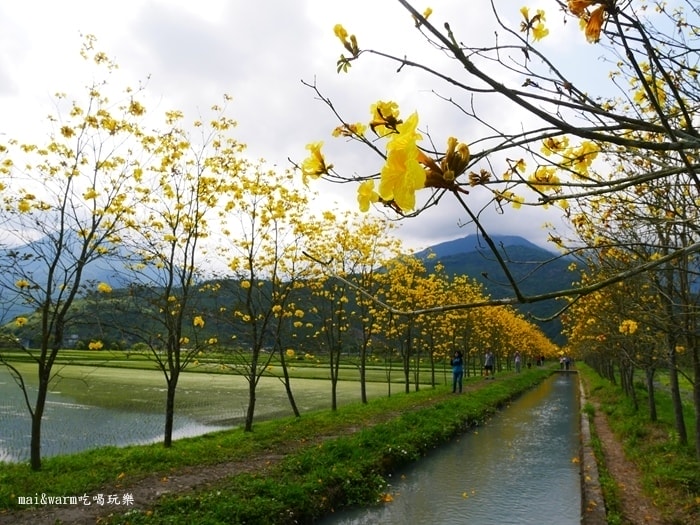 P1090760.jpg