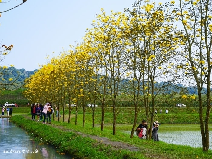 P1090765.jpg