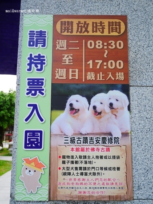 P1090832.jpg