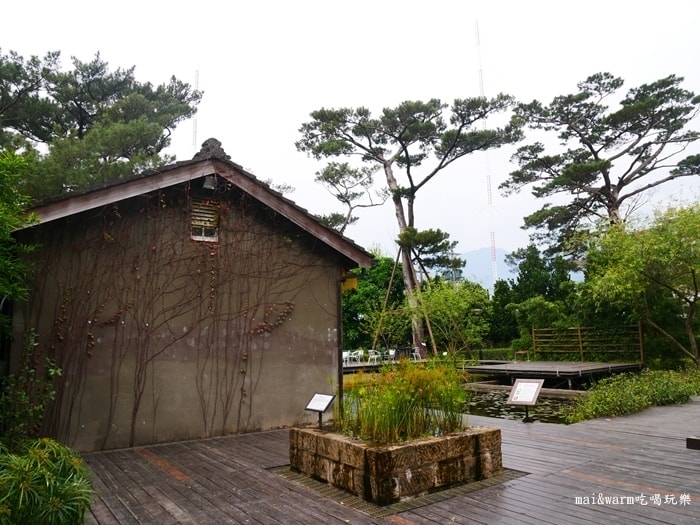 P1100096.jpg