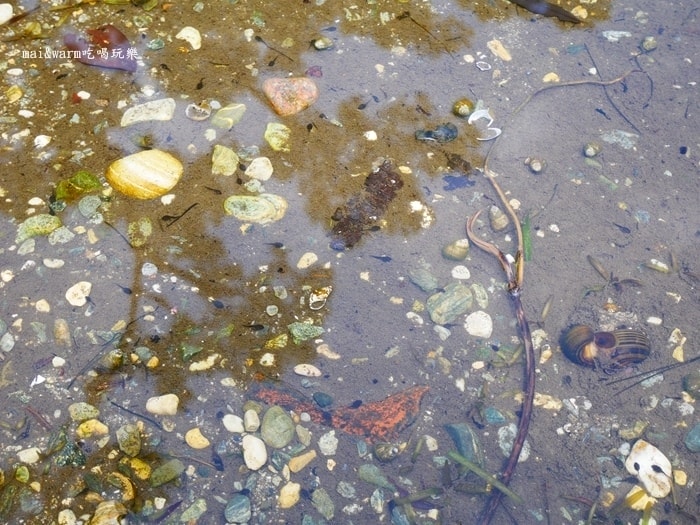 P1100149.jpg