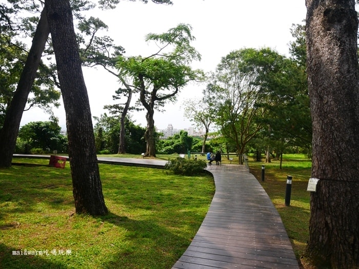 P1100150.jpg
