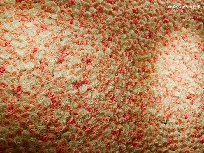 P1100469.jpg
